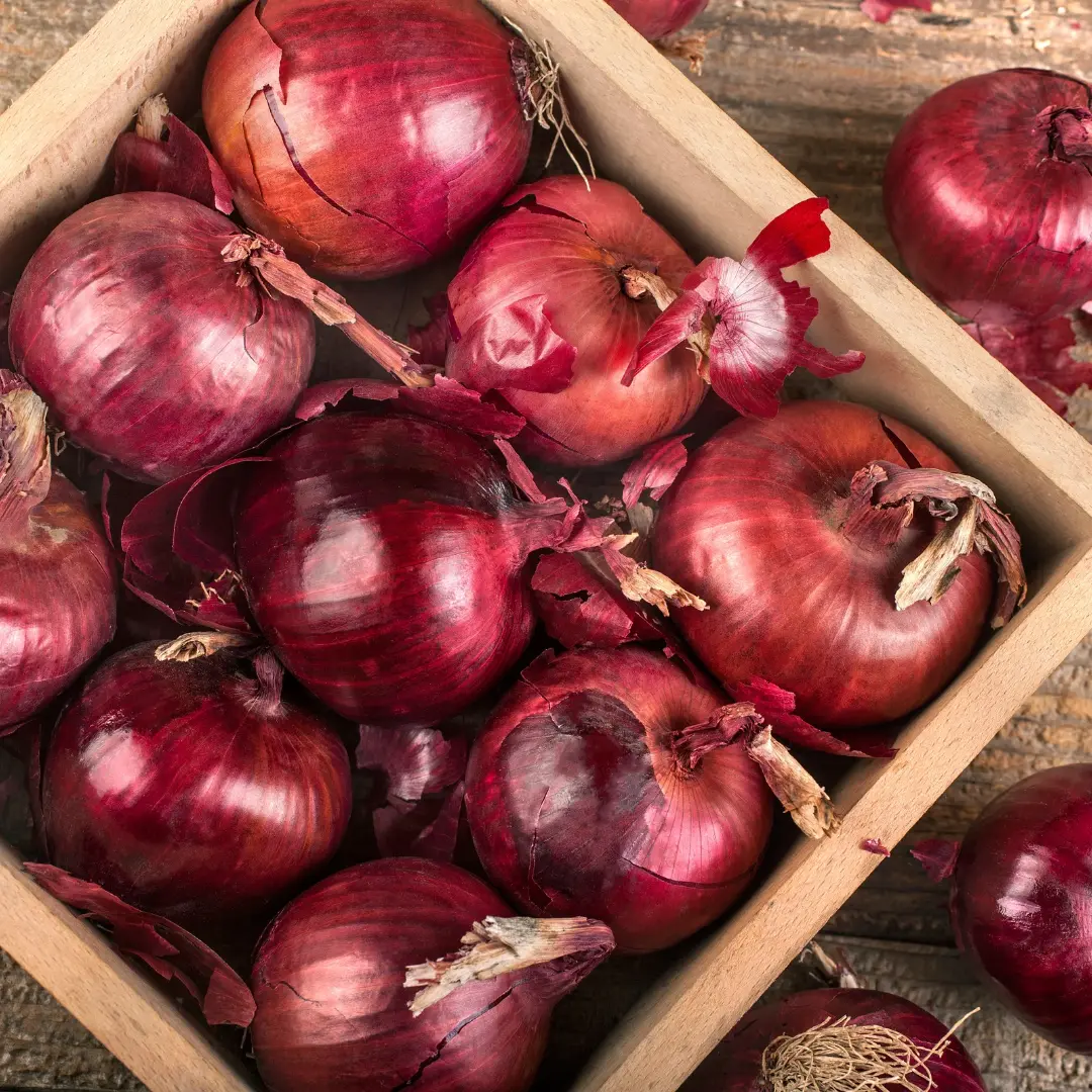 onion